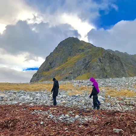 Eagle Point Lofoten