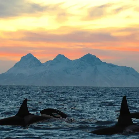 Horská chata Eagle Point Lofoten Eggum